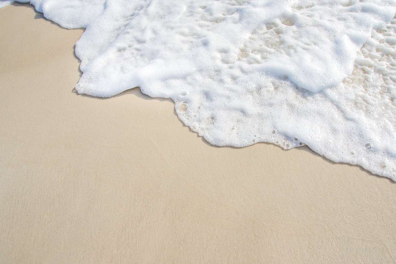Coast beach lilypad properties spain (10)