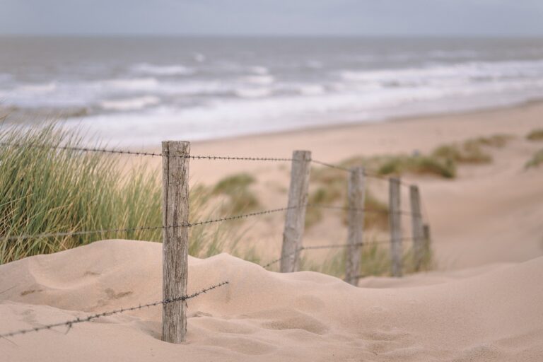 El Acequion Beach beach lilypad properties spain