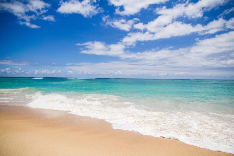 beach lilypad properties spain (8)