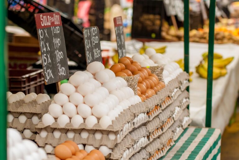Guardamar Market eggs 1508842 1280